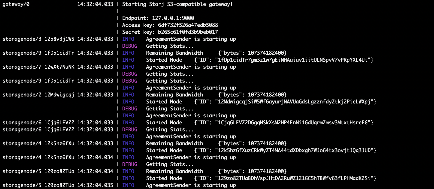 The ‘network run’ command will boot up the satellite and ten storage nodes.